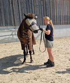 Lia Frankenbach macht eine Übung mit dem Therapiepferd.