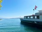 Die «MS Petersinsel» auf dem Bielersee