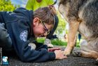 Ein Junge kniet vor einem Hund. Er streichelt oder befühlt seine Pfoten. Der Junge lacht. seine 