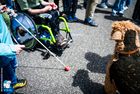Die Kinder der Mittelstufe stehen rund um den Attrappenhund und lassen sich den Umgang mit Hunden erklären.