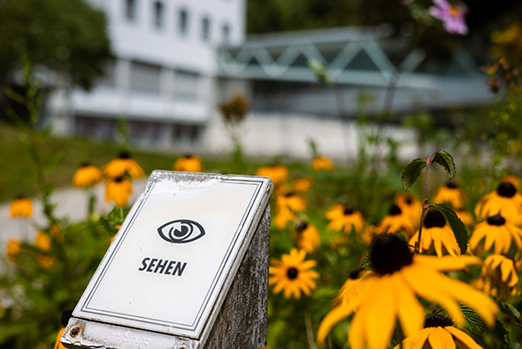 Im Vordergrund ist eine Plakette, die ein Auge und das Wort Sehen drauf stehen haben. Die Plakette wird flankiert von gelben Blumen.